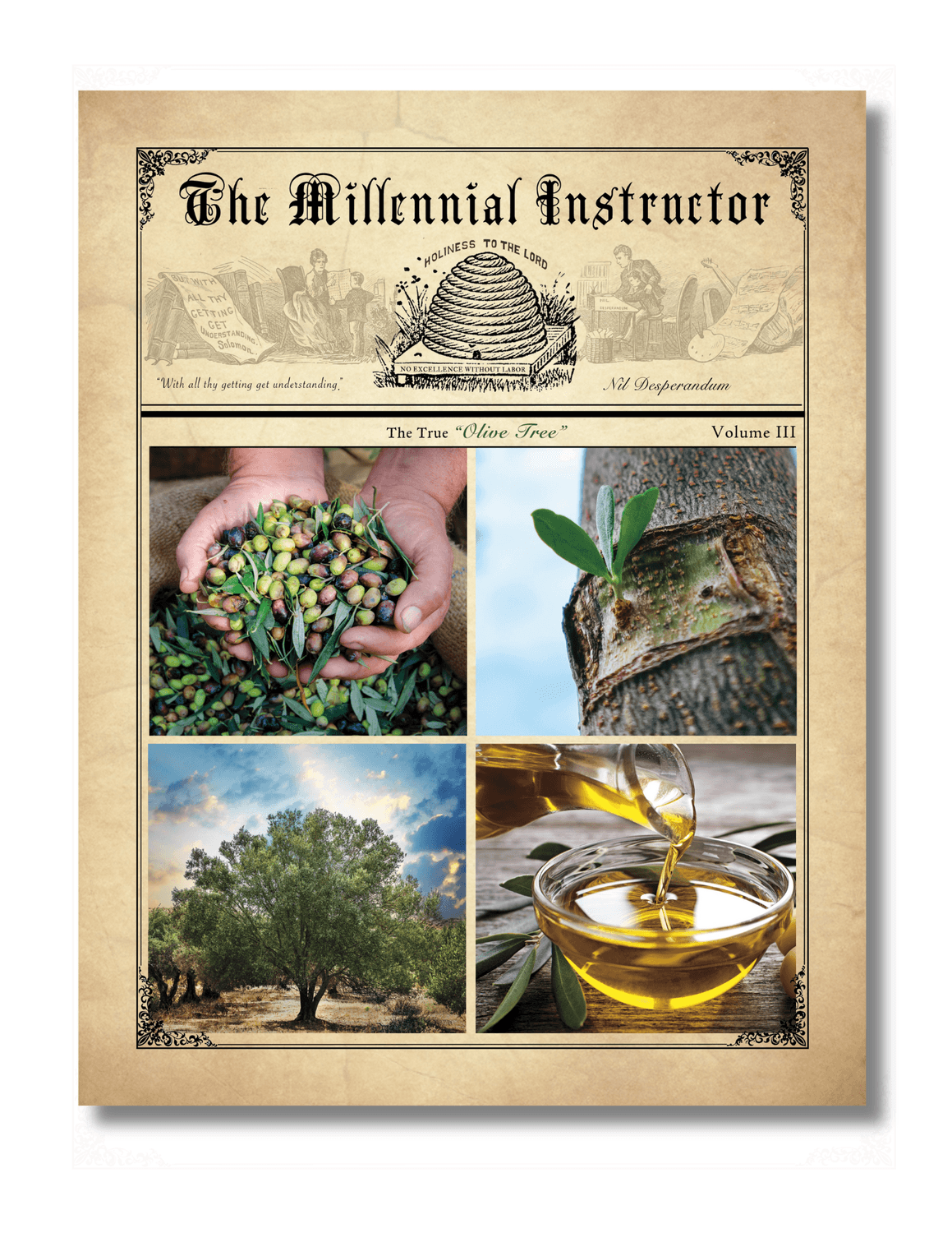 Volume Three - The True Olive Tree